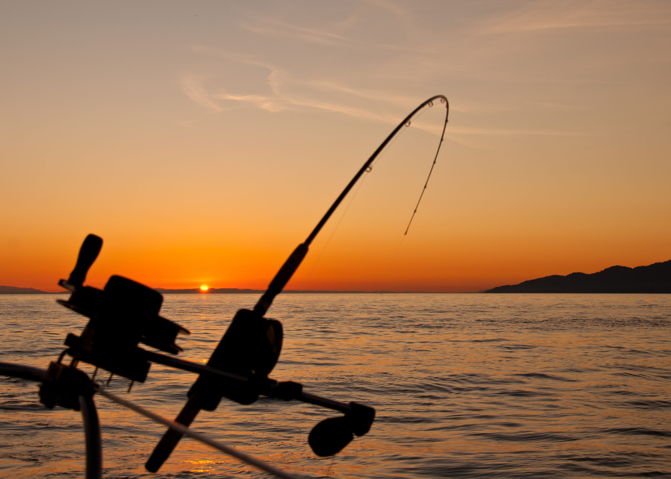 sportfishing in San Diego