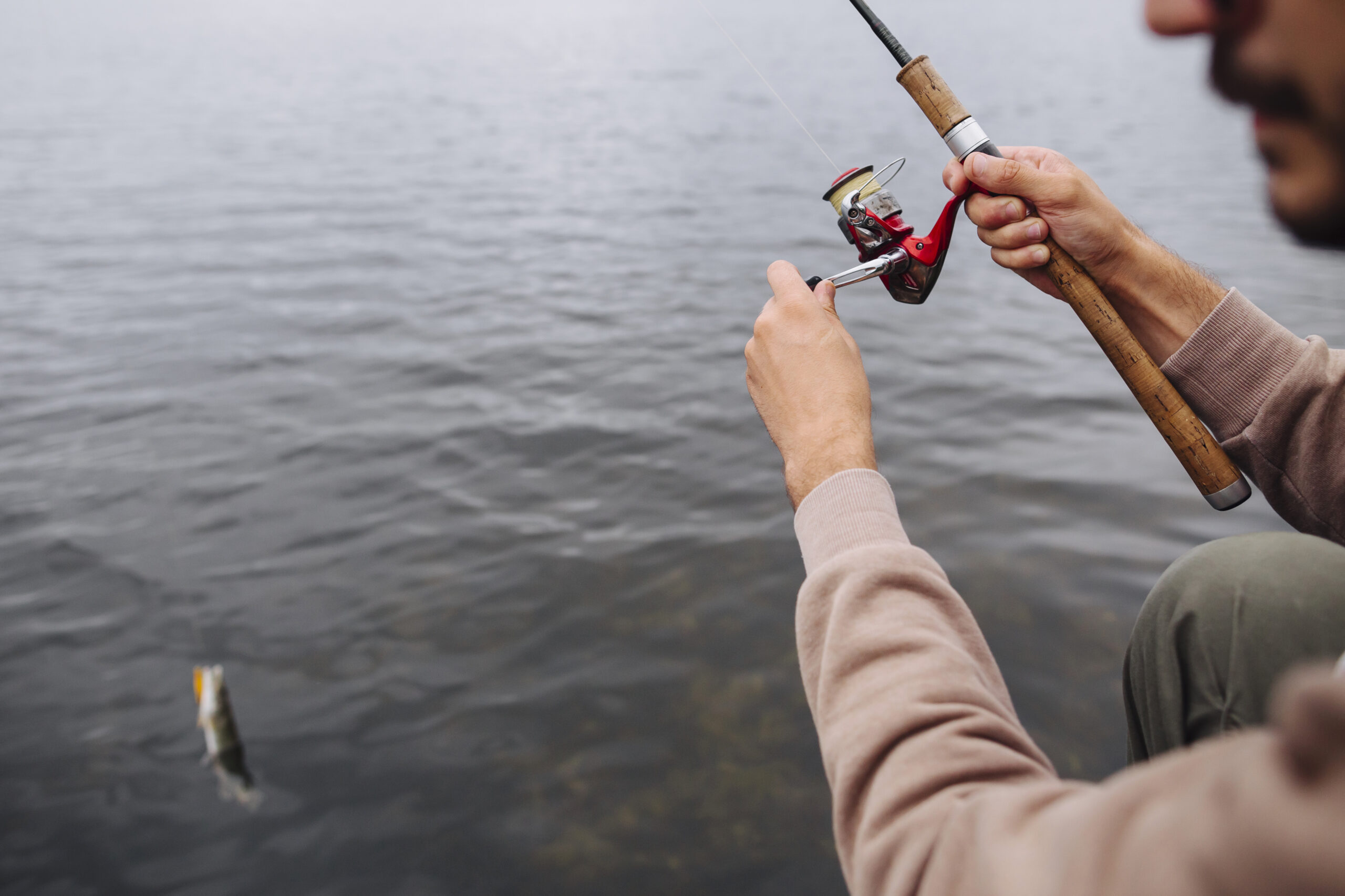 Tournament Fishing San Diego