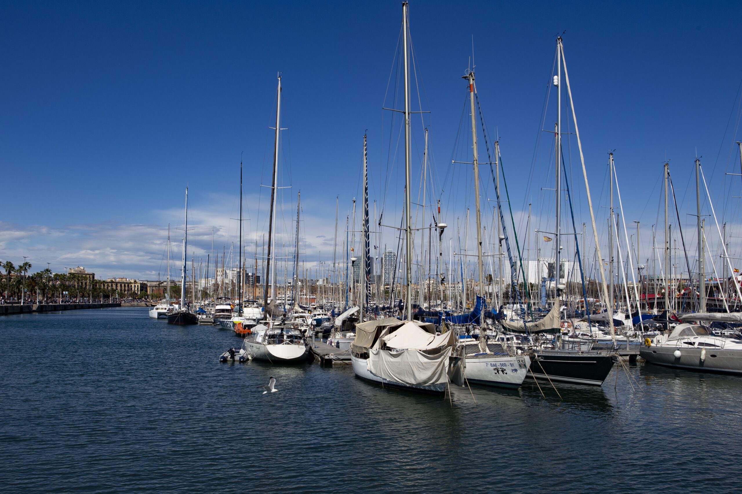 Yacht delviery service san diego