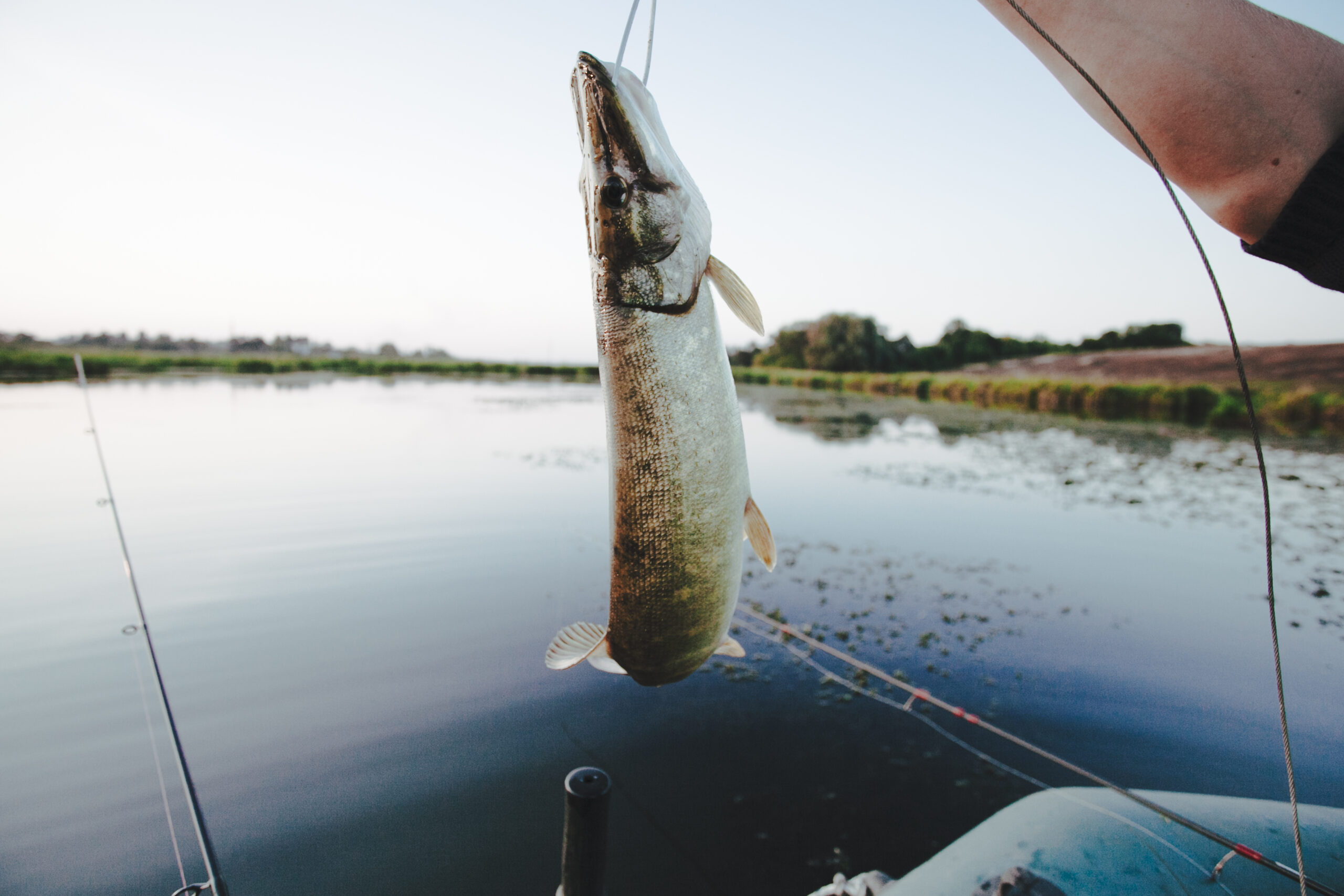 Tournament Fishing San Diego
