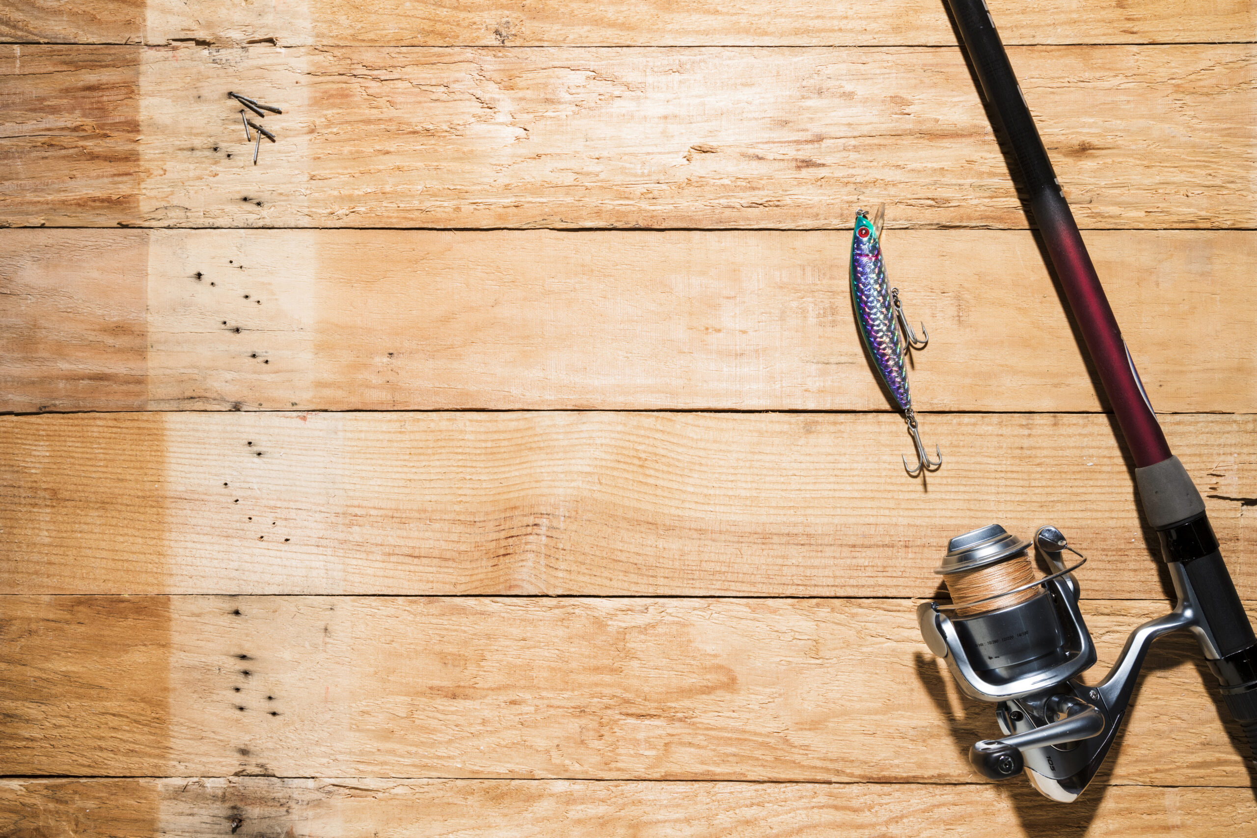 Fishing charter services San Diego