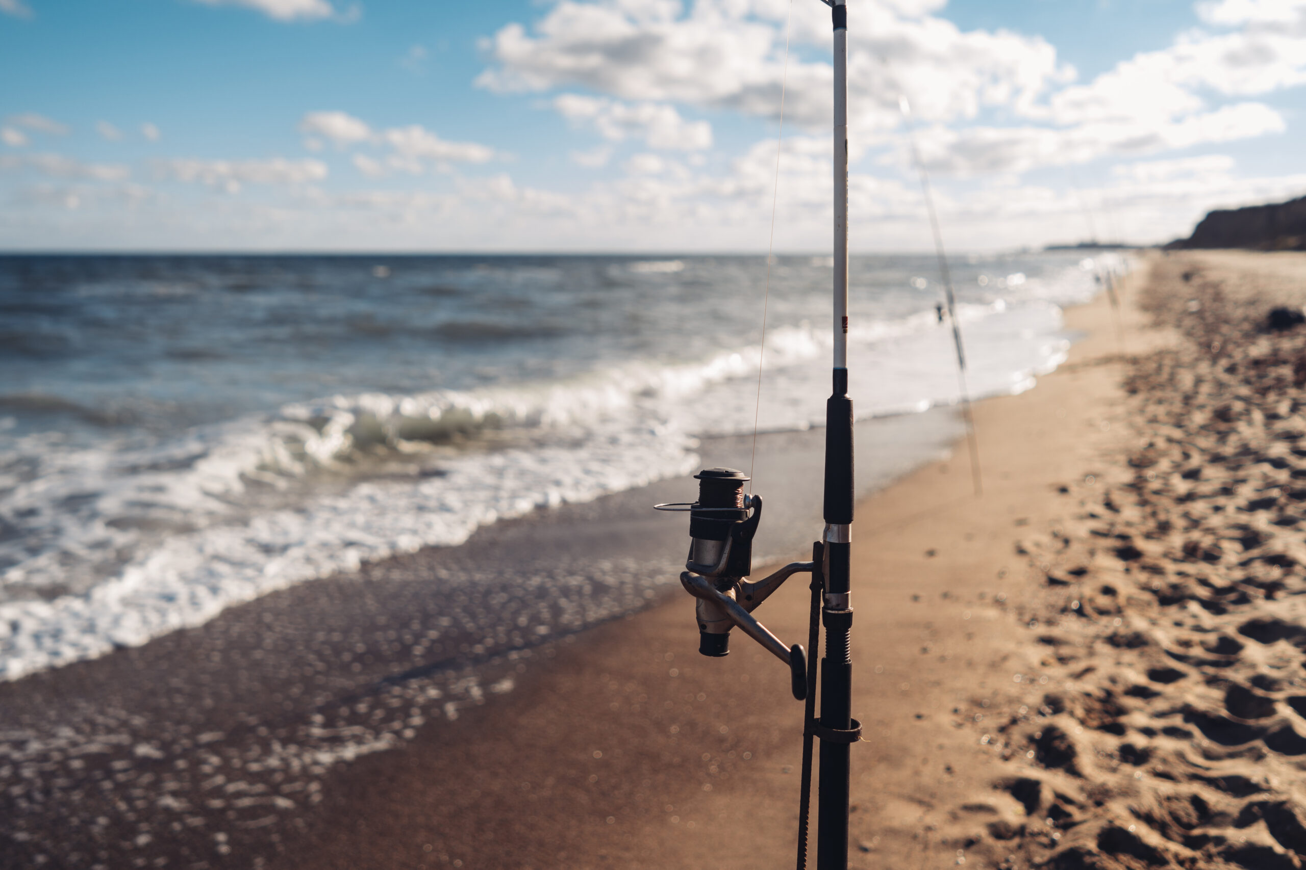 Tournament Fishing San Diego