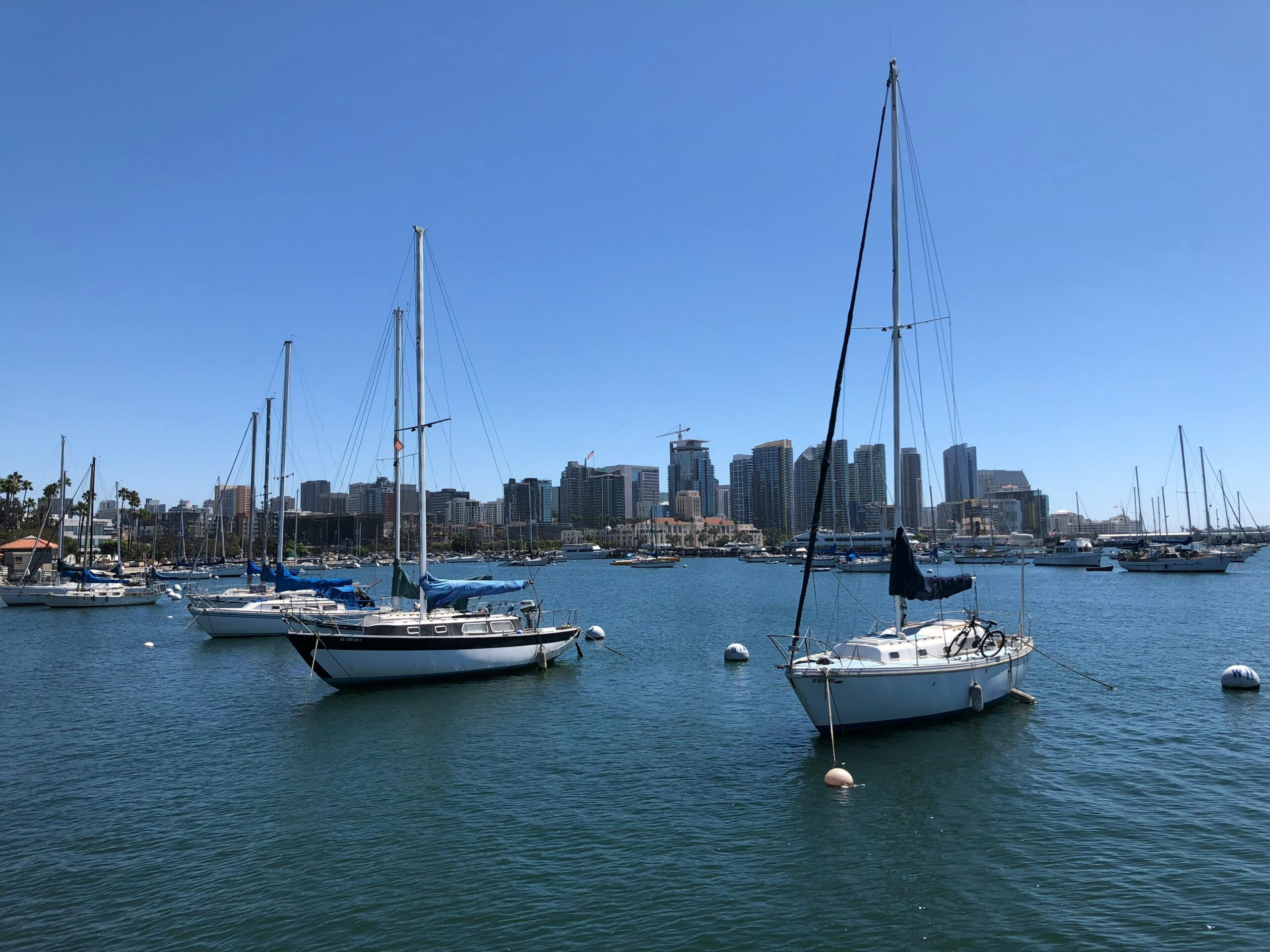 Sport Fishing Yacht Captain San Diego